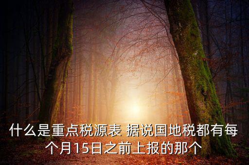 什么是重點(diǎn)稅源表 據(jù)說國地稅都有每個月15日之前上報的那個