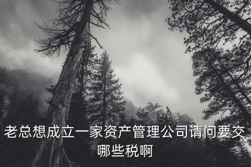 老總想成立一家資產管理公司請問要交哪些稅啊