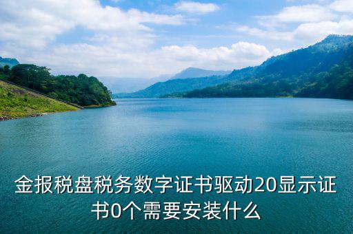 金報稅盤稅務數字證書驅動20顯示證書0個需要安裝什么