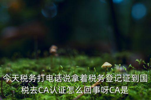 稅務(wù)局ca證書是什么，今天稅務(wù)打電話說拿著稅務(wù)登記證到國稅去CA認證怎么回事呀CA是