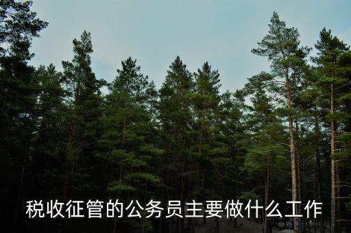 稅收管理員干什么的，稅收征管的公務(wù)員主要做什么工作