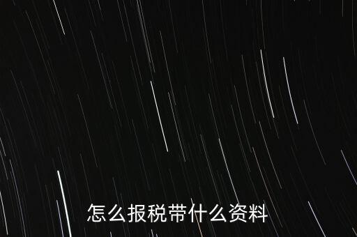 怎么報稅帶什么資料