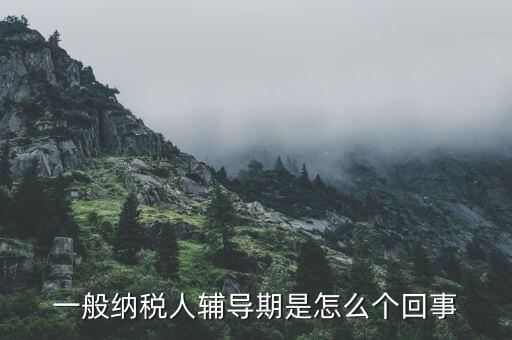 一般納稅人輔導(dǎo)期是怎么個回事