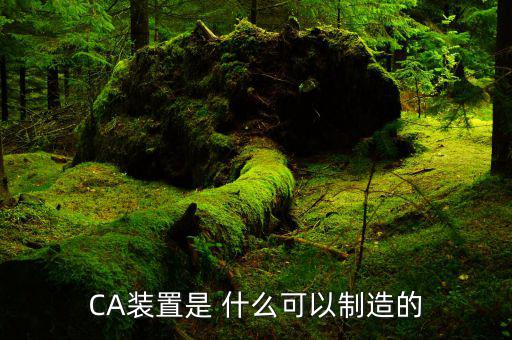 ca控件是什么，CA裝置是 什么可以制造的