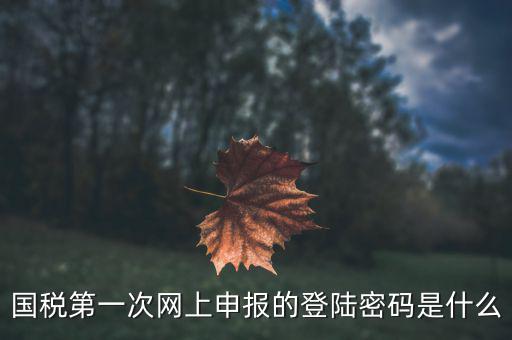 國稅第一次網(wǎng)上申報的登陸密碼是什么