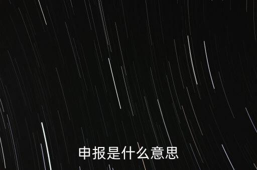 申報是什么意思