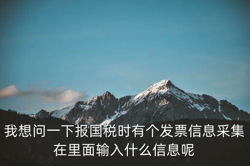 我想問一下報(bào)國稅時(shí)有個(gè)發(fā)票信息采集在里面輸入什么信息呢