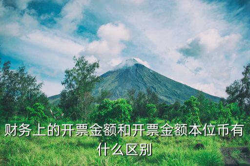 財務(wù)上的開票金額和開票金額本位幣有什么區(qū)別