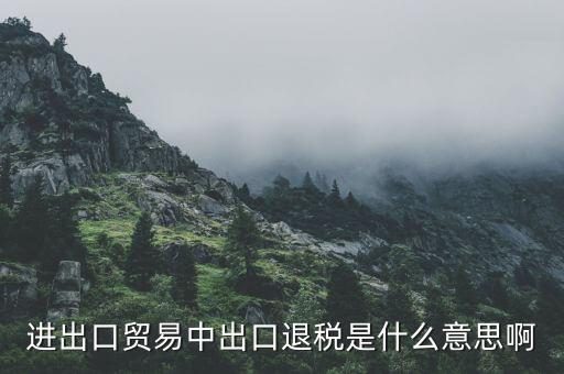 什么是增值稅出口退稅，出口退稅指的是什么