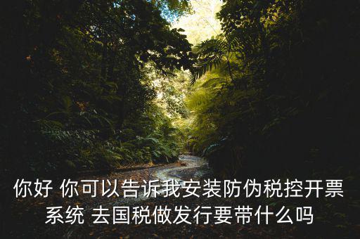 你好 你可以告訴我安裝防偽稅控開票系統(tǒng) 去國稅做發(fā)行要帶什么嗎