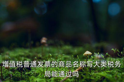 增值稅普通發(fā)票的商品名稱寫大類稅務(wù)局能通過嗎