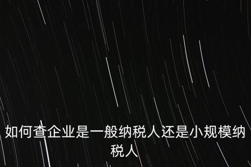 查詢公司什么納稅人，如何查企業(yè)是一般納稅人還是小規(guī)模納稅人