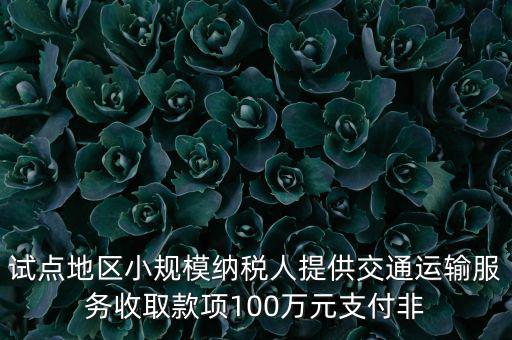 試點地區(qū)小規(guī)模納稅人提供交通運輸服務收取款項100萬元支付非