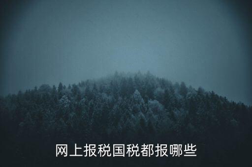 國稅云辦稅廳都報什么，你好我是新手我想問一下前輩國稅每月季年都報什么報表