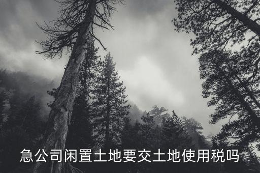 開發(fā)的土地閑置需繳什么稅，急公司閑置土地要交土地使用稅嗎