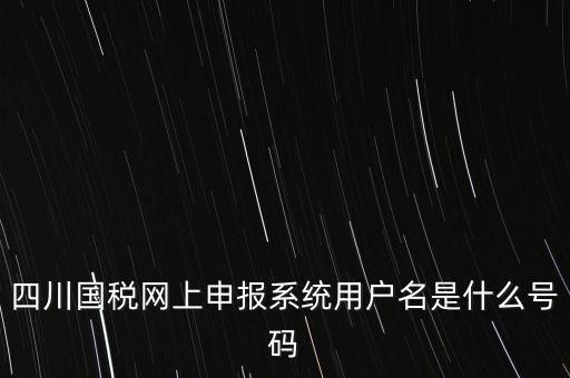 四川省地方稅務(wù)局登錄賬號是什么，在網(wǎng)上報(bào)稅登陸時(shí)用戶名是什么