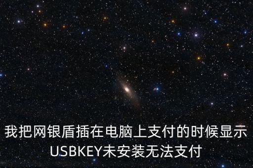 我把網(wǎng)銀盾插在電腦上支付的時候顯示USBKEY未安裝無法支付