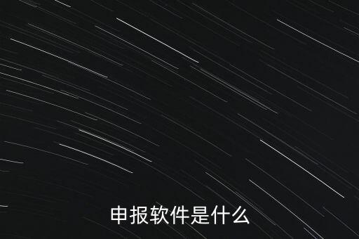 增值稅申報用什么軟件，申報軟件是什么