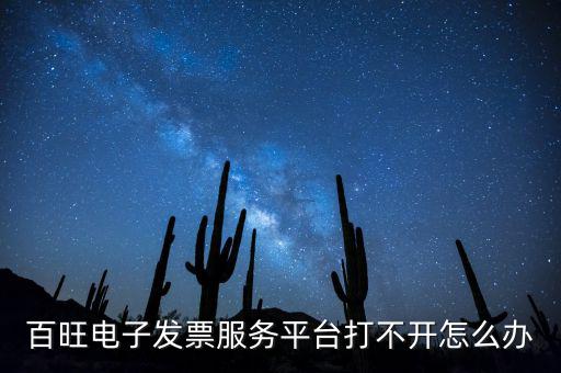 百旺電子發(fā)票服務(wù)平臺(tái)打不開怎么辦