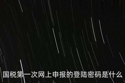 國稅的登錄密碼是什么，國稅第一次網(wǎng)上申報(bào)的登陸密碼是什么