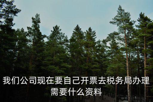 我們公司現(xiàn)在要自己開票去稅務(wù)局辦理需要什么資料