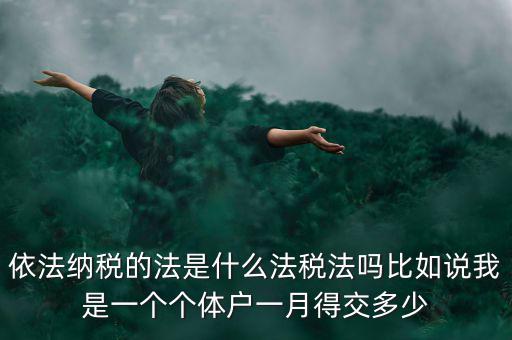 什么是依法納稅人，依法納稅的法是什么法稅法嗎比如說(shuō)我是一個(gè)個(gè)體戶一月得交多少