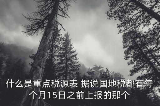 什么是重點(diǎn)稅源表 據(jù)說國地稅都有每個(gè)月15日之前上報(bào)的那個(gè)