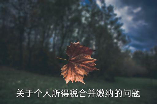 關(guān)于個(gè)人所得稅合并繳納的問(wèn)題