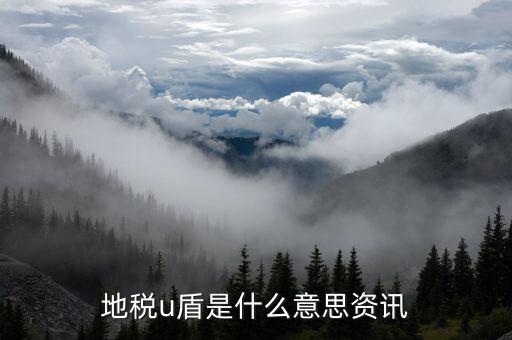 地稅u盾是什么意思，國稅局公司用的打發(fā)票u盾幾多錢