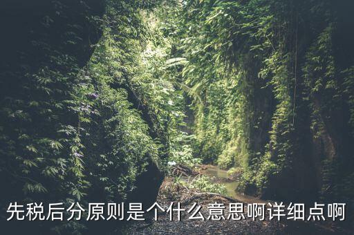 先稅后分原則是個什么意思啊詳細(xì)點啊