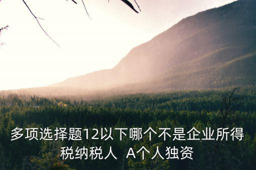 什么納稅人，多項選擇題12以下哪個不是企業(yè)所得稅納稅人  A個人獨資