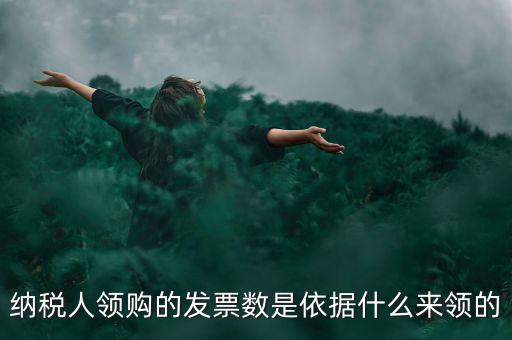 為什么領票人是納稅人，發(fā)票領購簿上的章子與納稅人名稱不一樣是怎么回事