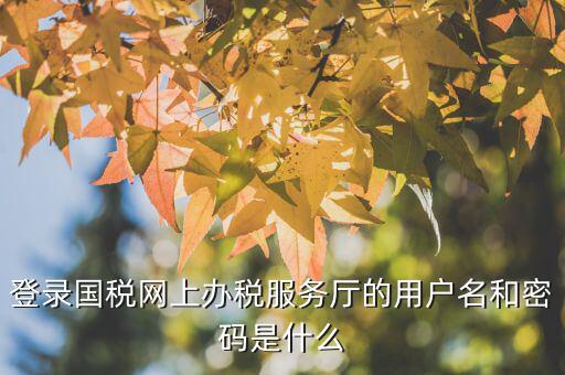 江蘇國稅電子稅務(wù)局登錄用戶名是什么，江蘇國稅網(wǎng)上辦稅服務(wù)廳的用戶名是什么