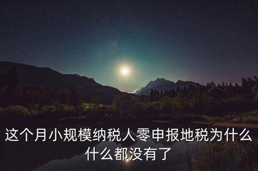 這個(gè)月小規(guī)模納稅人零申報(bào)地稅為什么什么都沒有了