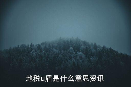 地稅u盾是什么意思資訊