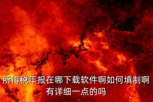 長春國稅需要下載什么，長春市個人所得稅軟件在哪里下載怎么使用啊