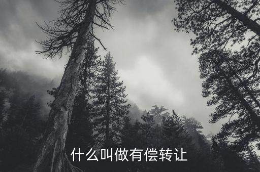 有償轉(zhuǎn)移安置什么意思，有償轉(zhuǎn)發(fā)什么意思