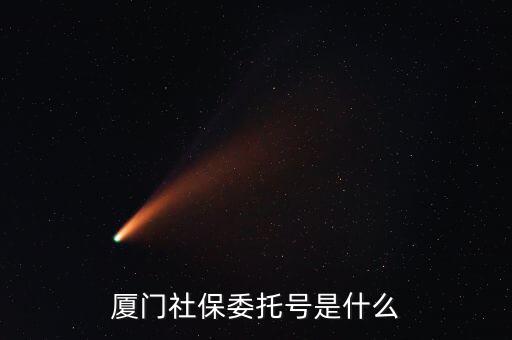 地稅社保委托號是什么，三證合一后去地稅局打社保單子說是與社保局的納稅人識別號不一