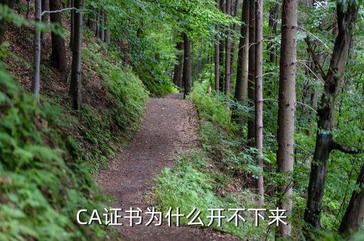 ca證書 為什么，CA證書為什么開不下來(lái)