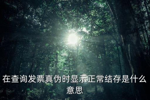 在查詢發(fā)票真?zhèn)螘r顯示正常結存是什么意思