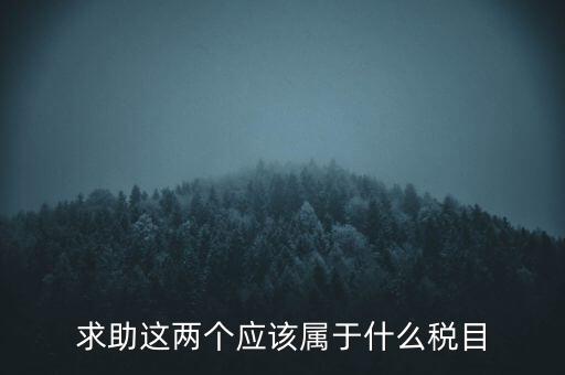 求助這兩個(gè)應(yīng)該屬于什么稅目