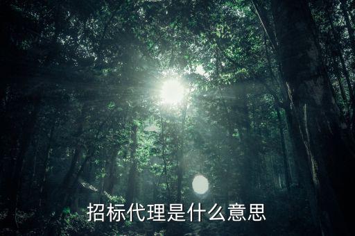 招標(biāo)代理是什么意思