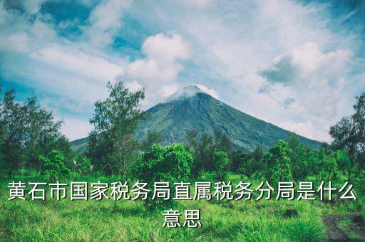 黃石市國家稅務局直屬稅務分局是什么意思