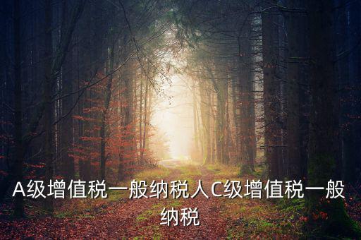 b級納稅人是什么意思，A級增值稅一般納稅人C級增值稅一般納稅