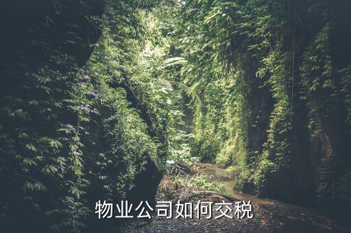 物業(yè)公司如何交稅