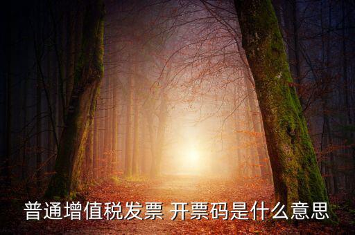 普通增值稅發(fā)票 開票碼是什么意思