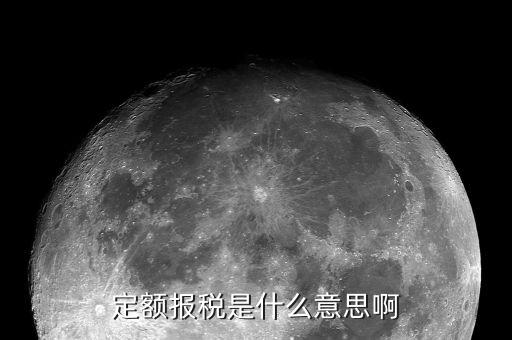 定額報稅是什么意思啊