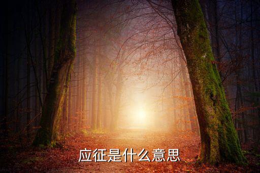 應(yīng)征發(fā)生日期什么意思，應(yīng)征的意思