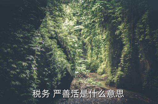 中國稅務(wù)精神是什么意思，稅務(wù)是什么意思啊學(xué)什么內(nèi)容