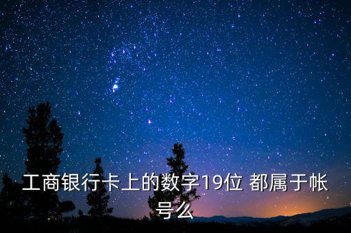 工商銀行卡上的數(shù)字19位 都屬于帳號(hào)么